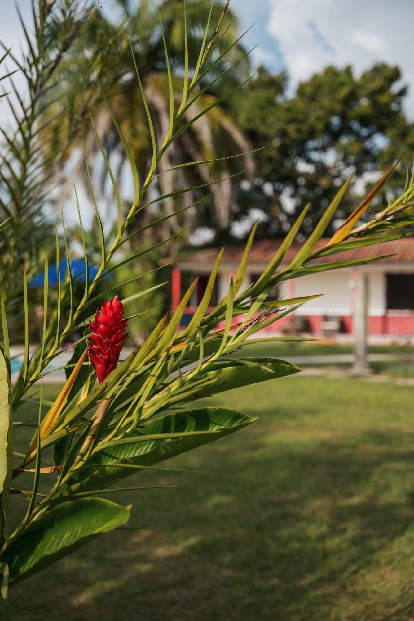 Finca Hotel Puerto Espejo Zewnętrze zdjęcie